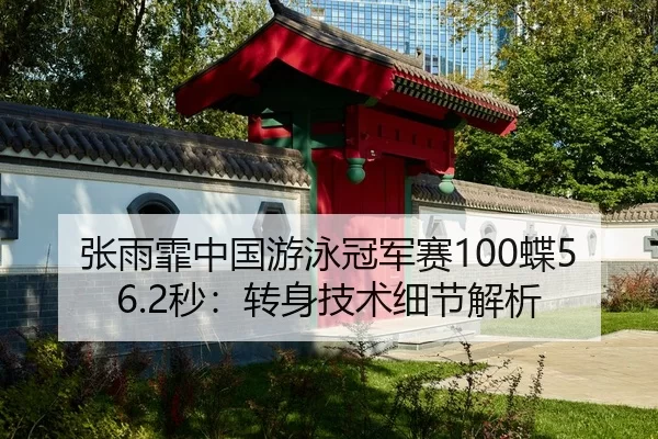 张雨霏中国游泳冠军赛100蝶56.2秒：转身技术细节解析